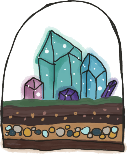 terrarium illustration